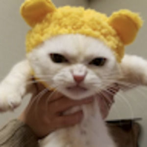 Meet your Posher, Desiree